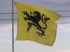 Wapperende Vlaamse leeuwenvlag