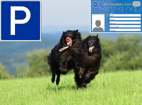 Parkeren, mindervalidenkaart en hondenweide Parkeren, mindervalidenkaart en hondenweide